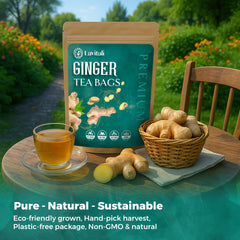 Lavitali, Ginger Tea Bags | 100% Pure Herbal Tea | Caffeine-Free, No Sugar, Eco-Friendly Filter Bags | Daily Natural Botanical, Hot or Iced Herbal Infusion
