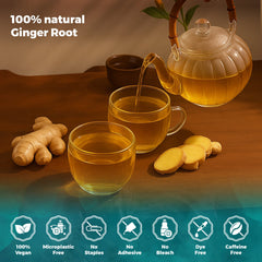 Lavitali, Ginger Tea Bags | 100% Pure Herbal Tea | Caffeine-Free, No Sugar, Eco-Friendly Filter Bags | Daily Natural Botanical, Hot or Iced Herbal Infusion
